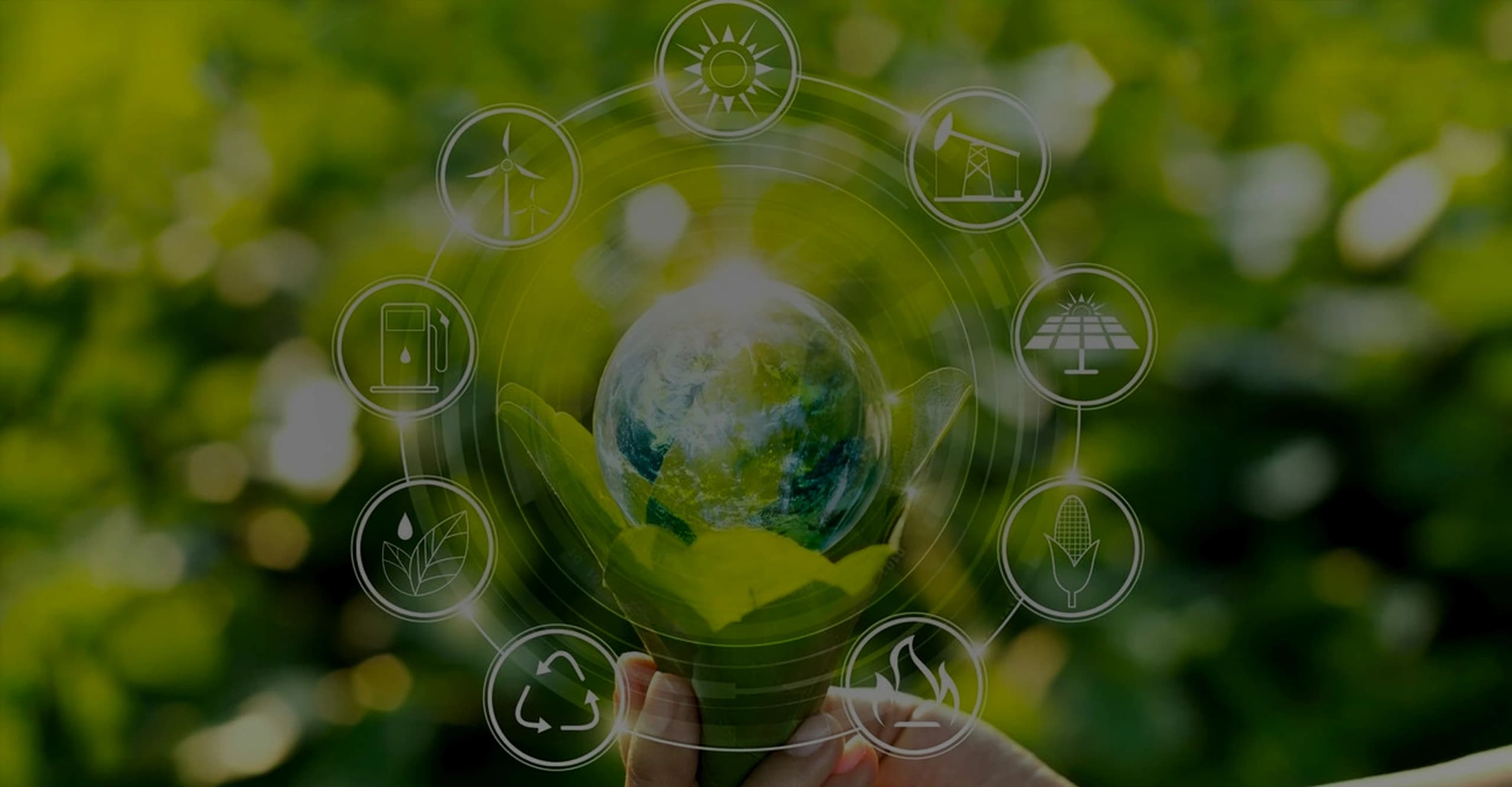 Consultoría ambiental y sostenibilidad corporativa